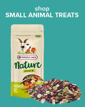 Small Animal Treats